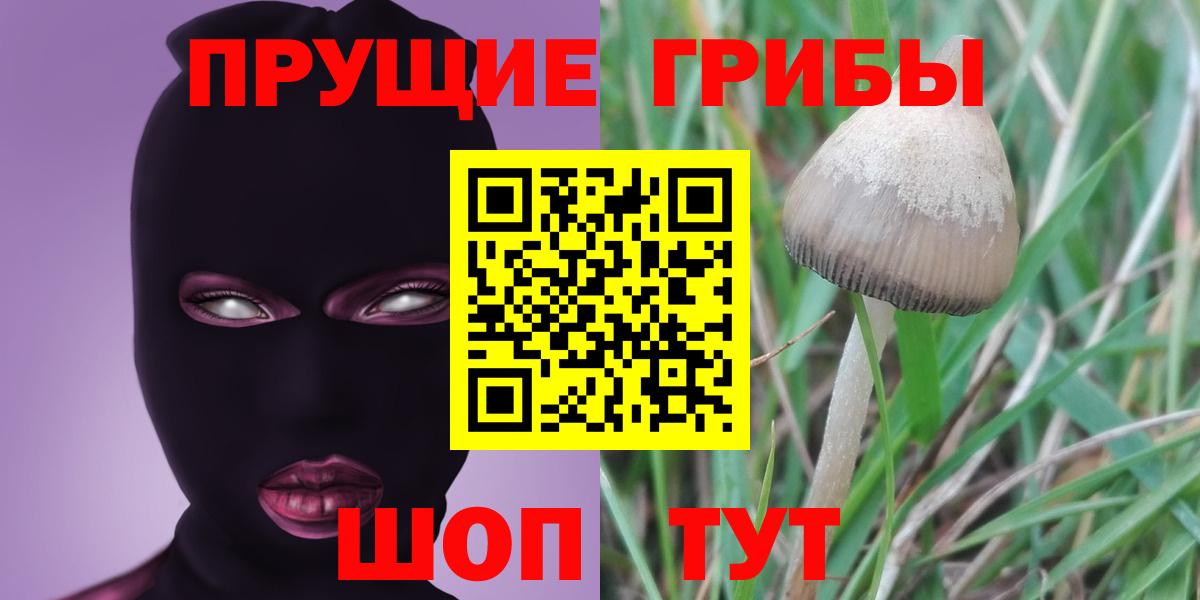 Муравленко  Псилоцибиновые грибы GOLDEN TEACHER  цены   Вход с VPN 